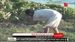 قرية المجد نموذجية صديقة للبيئة وأمل قرى مصر وأهلها #اخر_الأسبوع