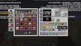 Playing the FrostySMP - Building a New Base