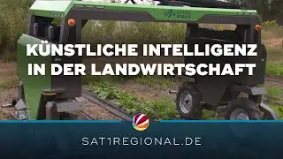 KI in der Landwirtschaft: Roboter vernichten Unkräuter und ernten Erdbeeren