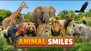 Cute Animal And Sound Elephant, Dog, Cat, Duck, Chicken, Parrot, Goat, Sheep, Wolf, Panda, Fox.....