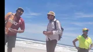 Amakrokokro strolling along Milnerton beach 