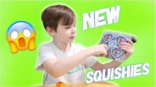 AWESOME SQUISHY HUNT  | Its Ayden's Playtime