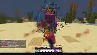 coxcum (7 Potted)