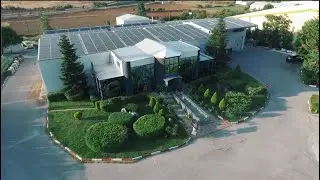 Pitenis Production