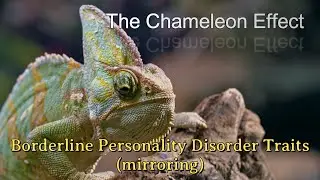 Borderline Personality Disorder|Chameleon Effect|Amber Heard Interview Trailer