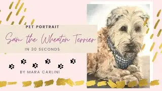 Wheaton Terrier Painting | Dog Portrait in 30 seconds - Wheaton Terrier Fur Painting
