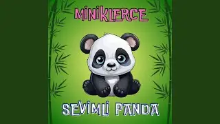 Sevimli Panda