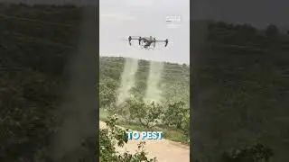 Are Agricultural Drones Really the Future of Farming?