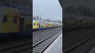 Metronom RE 3 nach Hamburg Hbf mit 146 541 in Stelle #zug #train #railway #metronom #br146 #dostos
