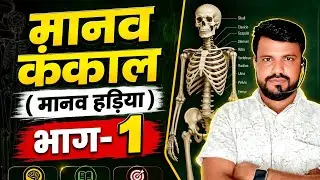 Manav kankal // human bone // manav hadadi//#bones //#science