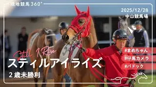 スティルアイライズ | 2歳未勝利 | パドック | 2025/12/28 | 中山競馬場