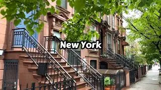 Walking Bedford Stuyvesant And Clinton Hill Brooklyn