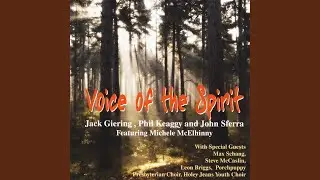 Set Your Spirit Free (feat. Michele McElhinny, Steve (Spiny) (McCaslin & John Sferra)