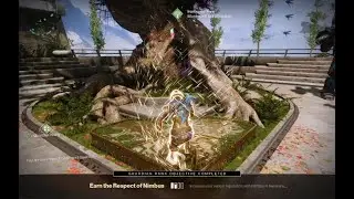 Guardian Rising : Rank 6 (Destiny 2)
