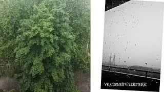 Nature perfection. Ливень