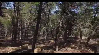 Cyprus Troodos Mountains L