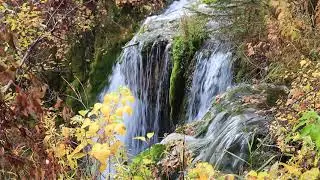 Top of Roughlock Falls