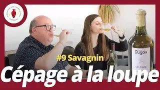 /C&eacute;pages &agrave; la loupe/ #9 Savagnin (Vin Jaune / Yellow wine)