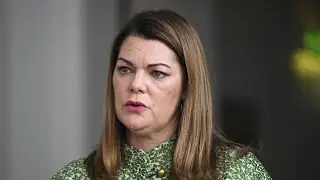 Greens Senator ducks Sky News interview after taxpayer foots bill for lobbyist husband&rsquo;s flights