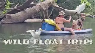 Niangua River, Kayak, Canoe or Raft? Float Anything!