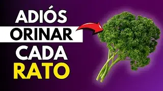 Las 3 mejores hierbas para eliminar la orina frecuente por la noche (Nocturia)
