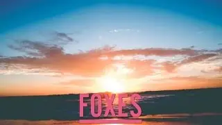 Foxes - White Coats (Xaphoon Jones In The Zone Remix)