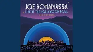 Prisoner (Live At The Hollywood Bowl With Orchestra)