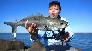 Getting SMOKED Fishing Off A Rock Wall!
