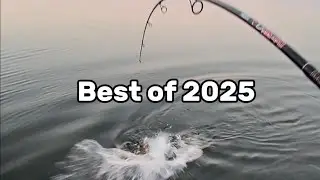 Лучшие видеоролики о рыбалке в Ноксе за 2025 год.