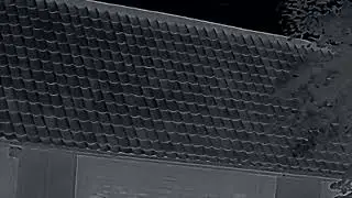 Bat emergence for motion meerkat using IR camera