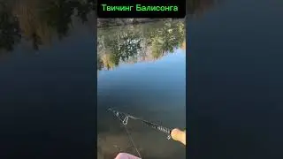 Техника твичинга. Воблер Deps Balisong 130