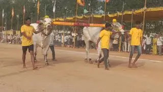 నరసరావుపేట 6పళ్ళు 5 వ B N R BULLS మంగళగిరి