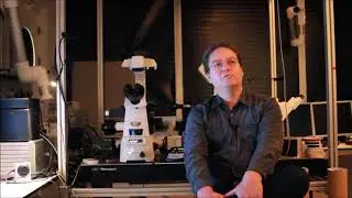 LIFA Toggel / Fluorescent Proteins, Automated Lifetime Based Screening & Characterization