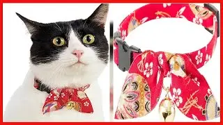 Necoichi Kimono Ribbon Cat Collar