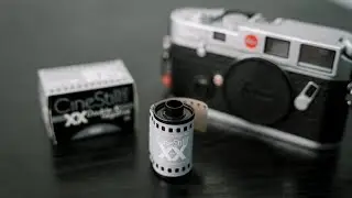 A Day of Shooting Cinestill XX on the Leica M6