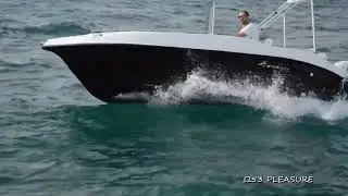 &Omega;53 pleasure