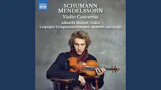 Violin Concerto in D Minor, WoO 23: II. Langsam