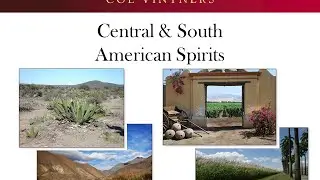 Central and South American Spirits Seminar