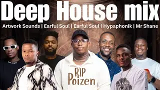 DEEP HOUSE mix (R.I.P Poizen, Artwork Sounds, Earful Soul, Hypaphonik, Mr Shane SA, Chymamusique)