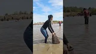 Lao girl uses cage to catch fish. #dreamnature #fishing #villagelife #laos