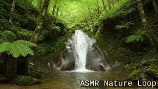 10-Hour Serene Forest Waterfall &mdash; Seamless Loop with ASMR Sounds for Sleep & Relaxation