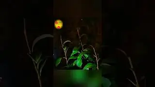 Light up your adventure with LED Gloves#Gadget#LEDGloves #viralshorts