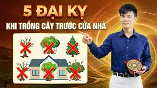 Phong thủy đại kỵ: 5 loại cây tuyệt đối KHÔNG trồng trước cửa nhà kẻo tán lộc