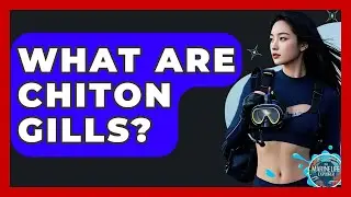 What Are Chiton Gills? - The Marine Life Explorer