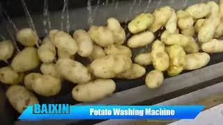 potato washing machine