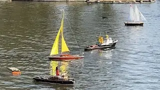 A variety of boats this morning