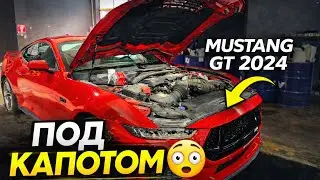 Mustang Enthusiast Life | Замена масла на Mustang GT 5.0 S650 (2024) &mdash; что под капотом? | ЕР.3