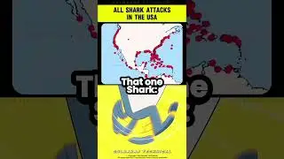 Shark attack&hellip; but on land? 🤯