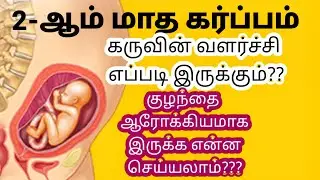 second month pregnancy in Tamil||இரண்டாம் மாத கர்ப்ப அறிகுறிகள்|| pregnancy tips month by month