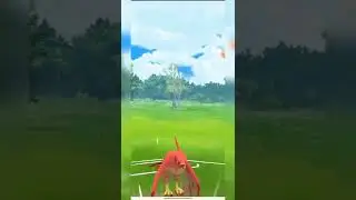 Shadow Walrein pulls off an unexpected win in great league #pokemon #pokemongo #gobattleleague